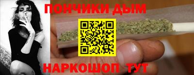 индика Ирбит