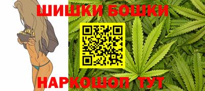 индика Ирбит