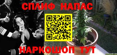 наркотики Изобильный