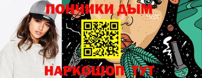 индика Ирбит