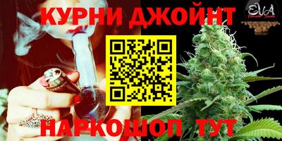 индика Ирбит