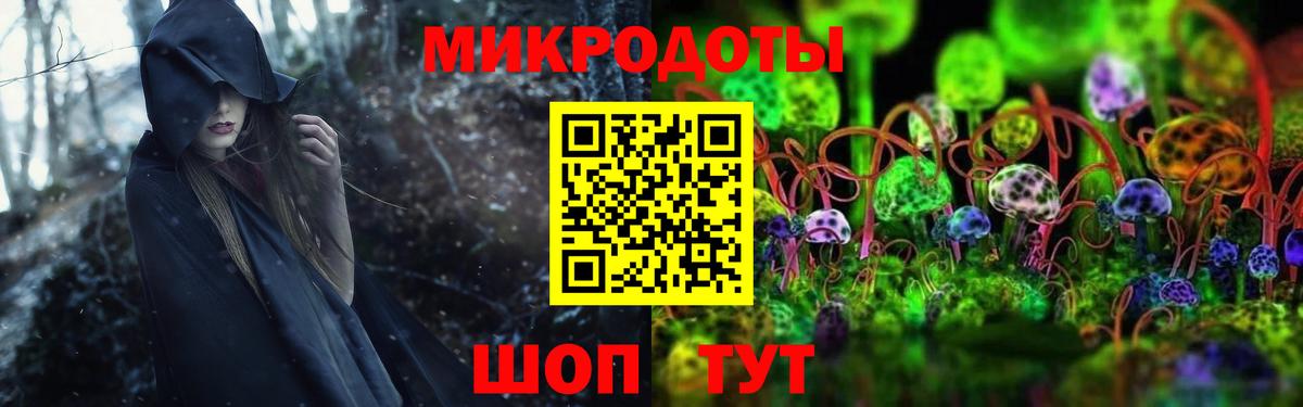 Видное  Галлюциногенные грибы прущие грибы  Вход с VPN  Псилоцибиновые грибы прущие грибы 